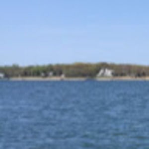 Meet your Posher, Elsie